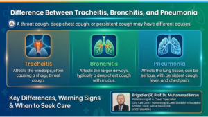 Tracheitis vs Bronchitis vs Pneumonia – Symptoms & Key Differences